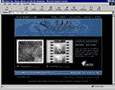 design sample